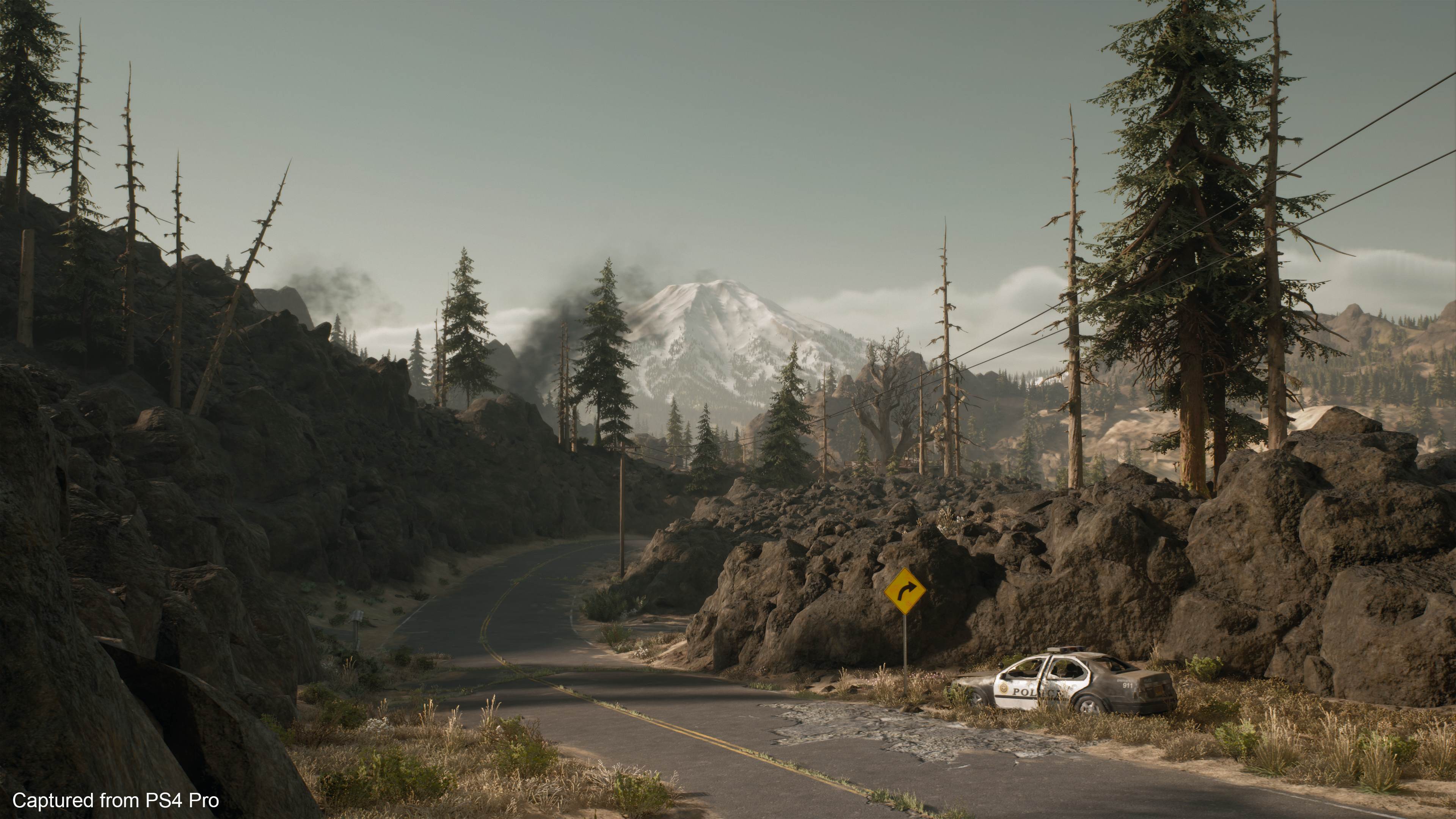 Days Gone - Imagen 50